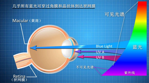 照明行业的未来必须是健康的——LED已被证明不是“