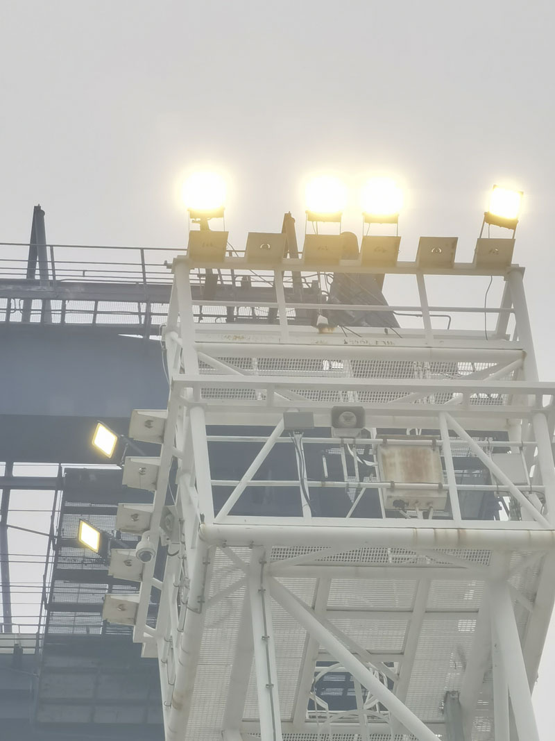 盐田国际码头(图3)