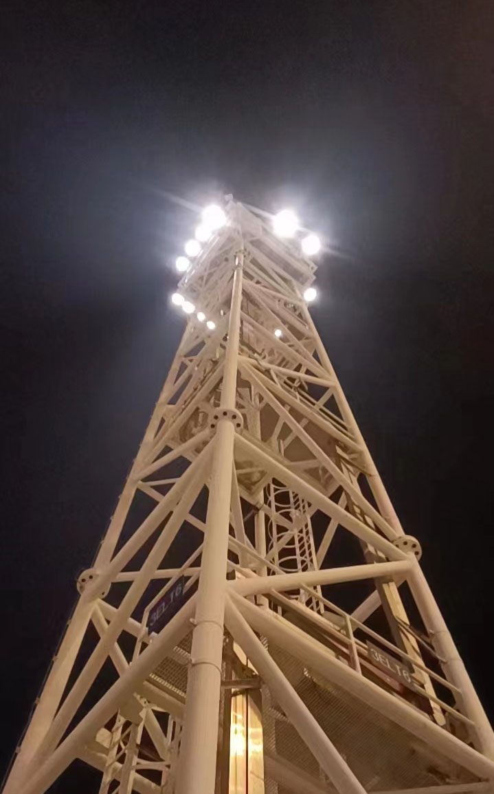 盐田国际码头(图6)